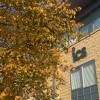 ICS office