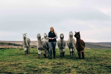 joanne-schembri-calderbrook-alpacas.jpg