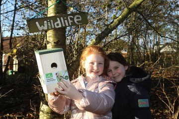 ICP_241125_Bird Boxes_14.jpeg.jpg