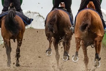 equestrian-surfaces-ltd-racing-06-940x475.jpeg