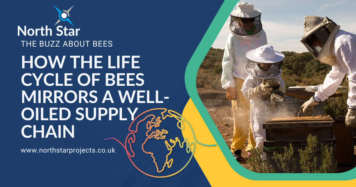 Bees and Supply Chain Article (1200 x 630 px).png.png