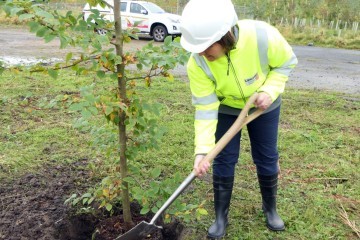 Samlesbury Tree Planting