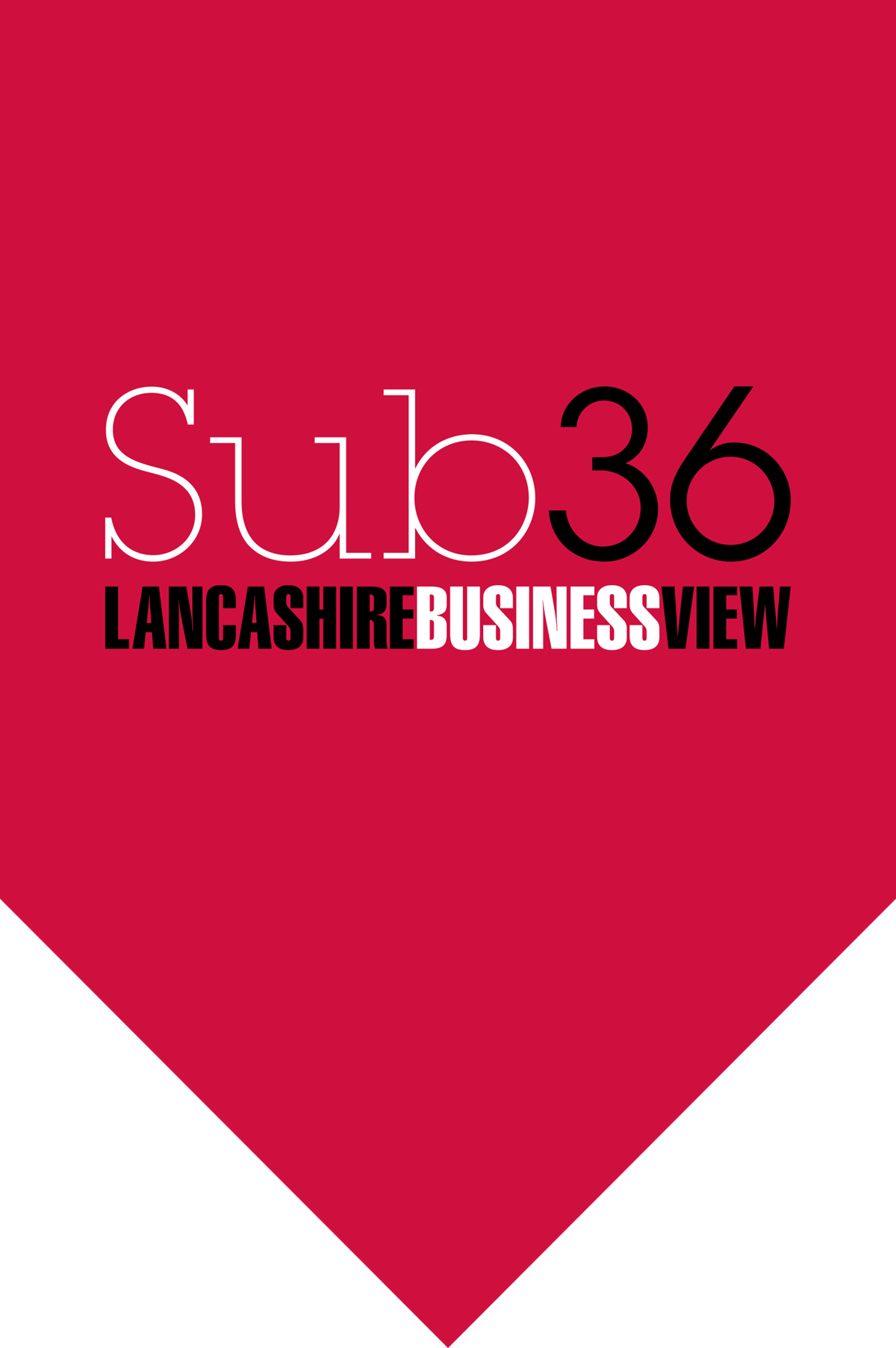 lbv-sub36-logos-red.png
