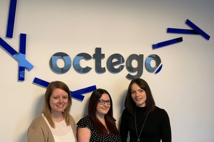 octego-section-heads.jpg