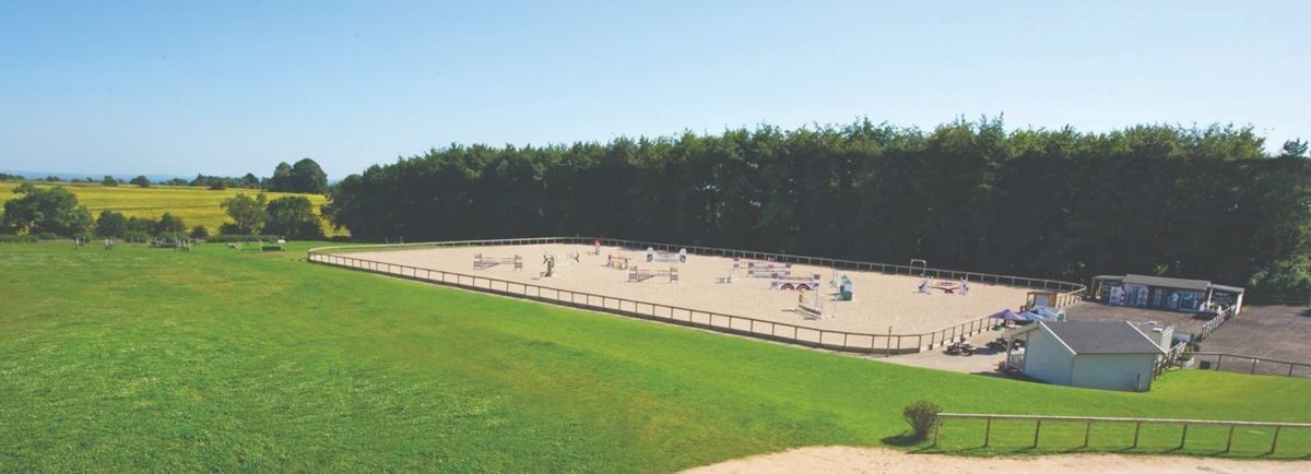 equestrian-surfaces.jpg