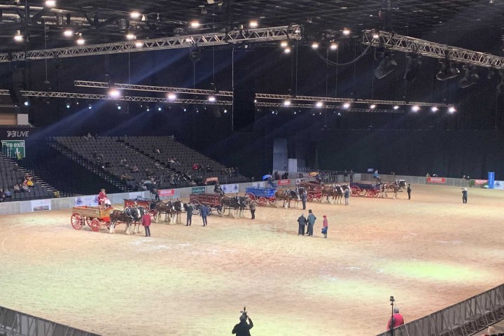 World Clydesdale horse show stadium