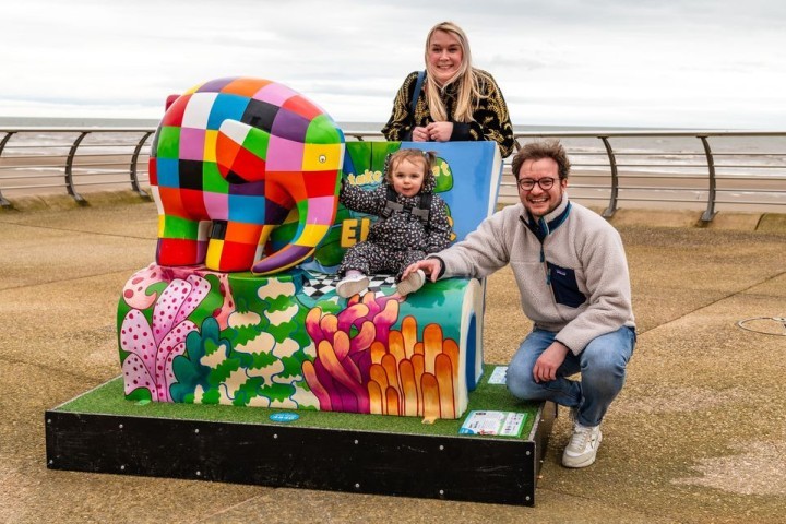 Elmer Auction Blackpool