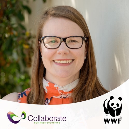 louisa-scanlan-collaborate-founder.jpeg