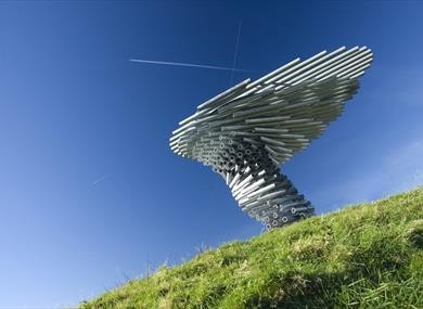 Singing Ringing Tree.jpg.jpg