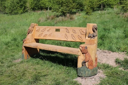 the-beautiful-memorial-bench-located-in-jubilee-woodland-in-hyndburn-in-memory-of-a-real-community-hero-sheila-mcvan.jpg