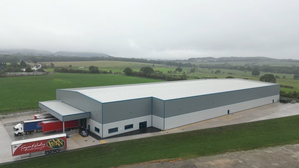 What More Building 7.png.png