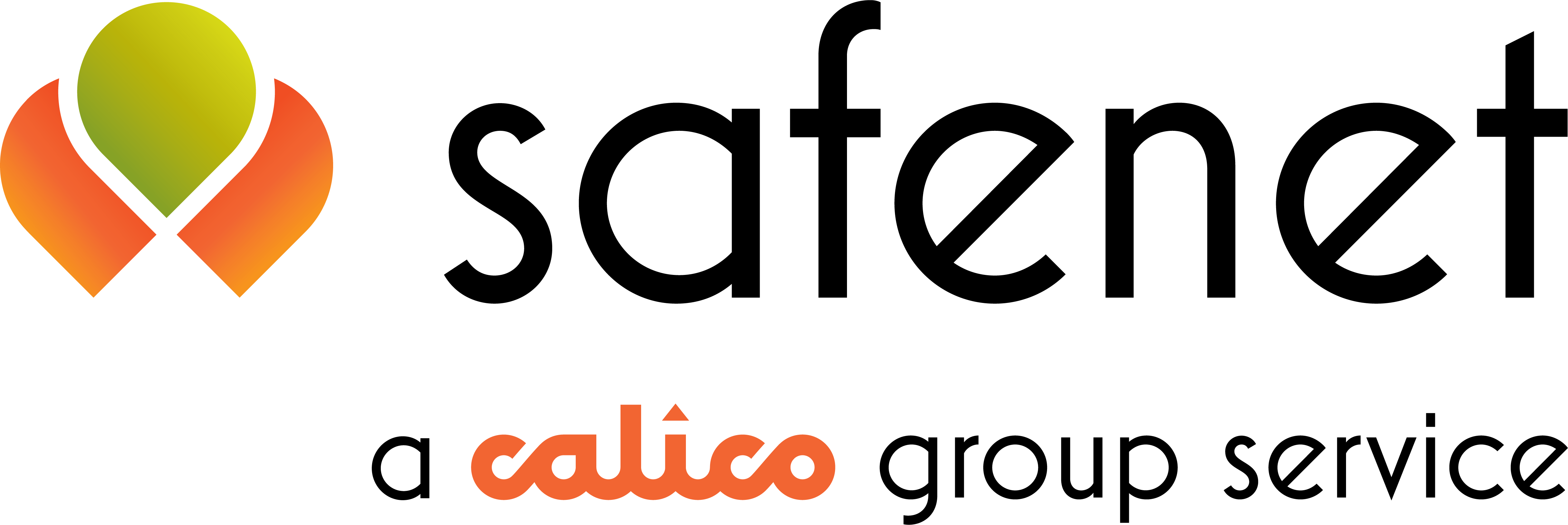 logo_safenet.png