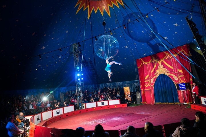 Circus Starr Donation Image.jpg.jpg