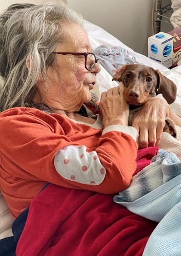 denise-fitzjohn-with-albert-the-sausage-dog-smaller.jpg