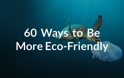 60wayseco.jpg