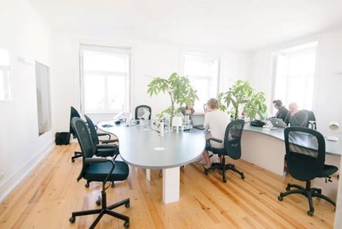 office-plants.jpg