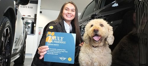 dog-friendly-mini-preston.jpg