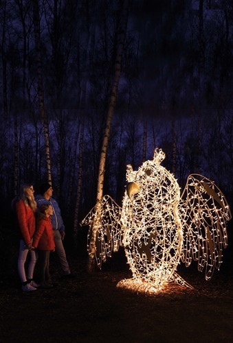 wwt-illuminature-owl-2.jpg