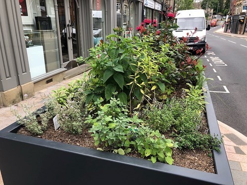 tea-herbs-on-st-jamess-street.jpg