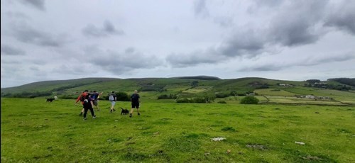 pub-walk.jpg