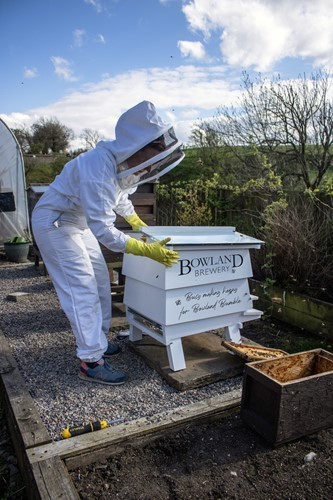 bowland_bees_transfer_180422-02.jpg