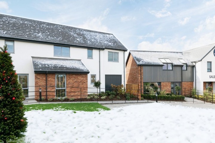 LBV images (5).jpg.jpg