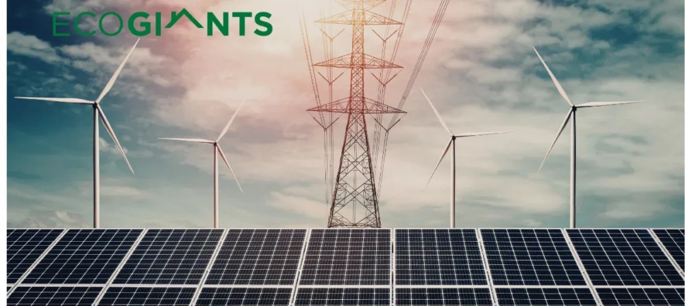 EcoGiants-EPC-1-1000x448.jpeg.jpg