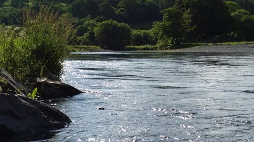 river-re-coaching-day.jpg