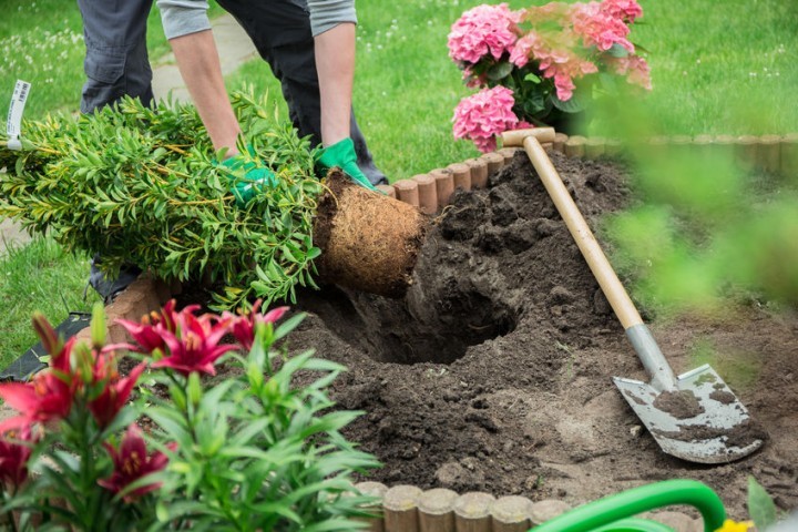 gardening.jpg