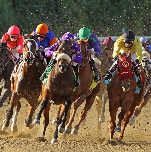 race-night-lbv.jpg
