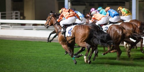 racenight.jpeg