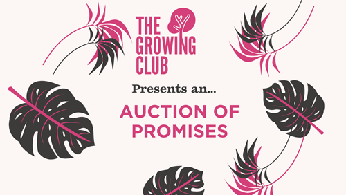 auction-of-promises_flyer-facebook-cover.png