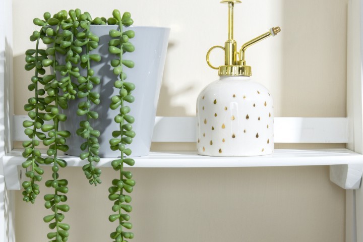 HOUSEPLANT POPULARITY TAKEN CARE OF BY WHAT MORE UK press 3.jpeg.jpg