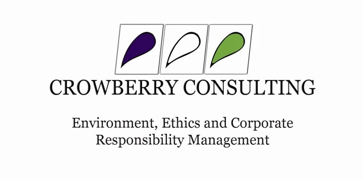 Crowberry Consulting Ltd Logo