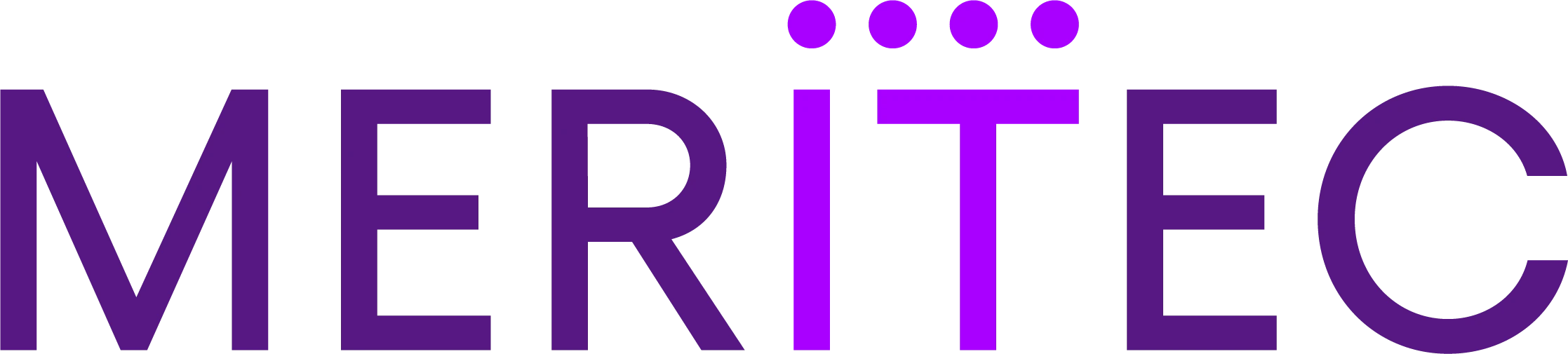 Meritec Ltd Logo